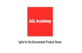 Agile for the Government Product Owner Agile 101 Case Study Discussion Live conversation with panelists