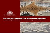 GLOBAL WILDLIFE ENFORCEMENT · This report aims to provide a comprehensive overview of the work INTERPOL has done against global wildlife crime, ... Wildlife crime is an umbrella