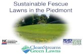 Sustainable Fescue Lawns in the Piedmont · •Fertilize the lawn, not the driveway & sidewalks -Load your fertilizer spreader on the driveway or other hard surface -Sweep up dry