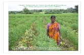 DEENDAYAL ANTYODAYA YOJANA (DAY) NATIONAL RURAL …mksp.gov.in/images/Reading_materials_Agro_ecological... · 2018-10-16 · How people access and use these assets, within the aforementioned