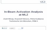 In-Beam Activation Analysis at MLZ€¦ · Solutions we tried 1. PGAA: short irradiation in 2x108 cm-2 s-1 for 5min – Fluence