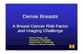 A Breast Cancer Risk Factor and Imaging Challenge...1976 May: 37(5) 2486-92 McCormack, VA et al, Breast Density and Parenchymal Patterns as Markers of Breast Cancer Risk. Cancer Epidem