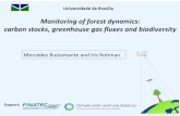 Monitoring of forest dynamics: carbon stocks, greenhouse ... · biodiversity and ecosystem functions Ecosystem models Climate change models Local, regional, and global models Disturbance-response