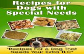 Recipes For Dogs With Special Needs for... · Breakfast Foods . Pancakes, Waffles & Processed Foods : Raw (except for Newborn Pups), Scrambled, Fried (In Canola Oil), Hard Boiled