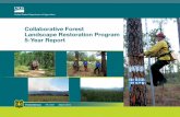 Collaborative Forest Landscape Restoration Progam 5-Year ... · ADSA SATION AM 5-YEAR REPORT USDA Forest Service 3 CFLR: FULFILLING THE PURPOSE OF THE ACT CFLR Projects at a Glance