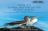 WILD GALÁPAGOS ESCAPE - Swarthmore College€¦ · On an African safari, your guides have to work hard to ensure you’ll spot one of the often-elusive ‘big five’ species. In