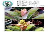 The Caloosahatchee Bromeliad Society ...Honduras. His lengthy resume includes numerous publications as editor and contributing author. He is a past editor of the Journal of the Bromeliad