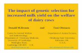 The impact of genetic selection for increased milk yield ...oldwebsite.anzcvs.org.au/welfare_assets/animal... · The reproduction problems are largely a consequence of metabolic disorders