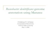 Roseobacter denitrificans genome annotation using Manateecbs/projects/2006... · internship project and provided guidance throughout. ... Suggests evidence for a scattered loss of