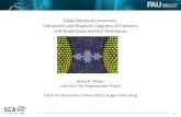 Single-Molecule Junctions: Vibrational and Magnetic ...nano.tu-dresden.de/pubs/slides_others/2013_07_18_Weber.pdfDFT (calculations using TM 5.7: BP86/SVP,TZVP, B3LYP/TZVP Electronic