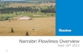 Narrabri Flowlines Overview - Narrabri Gas Project€¦ · These flowlines will connect the proposed new wells to the new Leewood Produced Water Facility via the Bibblewindi Water