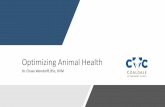 Optimizing Animal Health...Animal Health 3 Animal Husbandry 4 Transportation 5 On-Farm Euthanasia 6 . Animal Environment •High Temperature and Humidity •Extreme Cold ... Reproduction