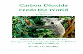 Carbon Dioxide Feeds the Worldcarbon-sense.com/wp-content/uploads/2010/12/carbon... · Coal – yes coal all came from atmospheric carbon dioxide via plant growth Burning coal today