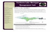 Northern Lake Michigan · 2017-01-31 · The Lake Sturgeon, Acipenser fulvescens, is the largest freshwater fish native to Michigan and was once abundant throughout the Great Lakes