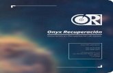 Onyx Recuperación - Cylex · 2015-02-12 · normalidad en el menor tiempo posible. Trato humano En Onyx Recuperación entende - mos los incidentes de pérdidas de datos. Sabemos