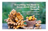 Everything Ginger Turmeric - Organic Growers School · Everything You Need to Know about Ginger & Turmeric Patricia Kyritsi Howell, RH (AHG) Organic Growers School ... Ginger Migraines)))combinaon)of)ginger)and)