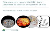 Stimulate your nose in the MRI: brain responses to odors ...€¦ · Stimulate your nose in the MRI: brain responses to odors in anticipation of food Sanne Boesveldt. 3T MRI seminar,