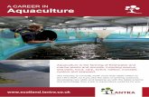 A CAREER IN Aquaculture - Lantra - Scotland...Routes into a career in Aquaculture Depending on your current skills and experience, you could enter at different levels. Lantra More
