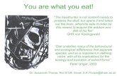 You are what you eat!€¦ · You are what you eat! Dr. Susannah Thorpe, Rm W126 Email: S.K.Thorpe@bham.ac.uk “The headhunter is not content merely to possess the skull, but opens
