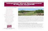 Integrated Weed Management in Pecan Orchardsaces.nmsu.edu/pubs/_h/H656.pdftime, reduce the overall weed seed bank in the orchard. Other benefits associated with the use of vegetation