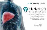 TLSA TILS - Tiziana Life Sciences · ALA) TEPLIZUMAB. FORALUMAB. IgG2a IgG1 *Agly IgG2 *AA IgG2 *AA. IgG1 *AE. Fully Mouse. Chimeric & Humanized; Humanized. Humanized: Fully Human.