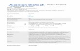 ALB, serum albumin - Aeonian Biotechaeonianbiotech.com/wp-content/uploads/2020/01/Product-data... · SwissProt P02768 Confirmed Applications IHC Positive controls Aeonian Rating©