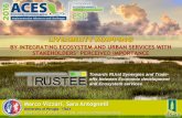 BY INTEGRATING ECOSYSTEM AND URBAN SERVICES WITH STAKEHOLDERS’ PERCEIVED … · 2016-12-14 · 4 social 4.1 communication networks 4.2 urban educational services 4.3 health services