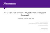 Reserach Presentation.a copy - NYU Langone Medical Center · 0.0001 0.001 0.01 0.1 1 10 100 Scardovia Lactobacillus Sphingomonas Streptococcus SR1(Other Genus) Neisseria Relative
