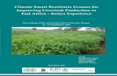 Climate Smart Brachiaria Grasses for Improving Livestock ...kalro.org/arlri/sites/default/files/Proceeding...C. Mutai, J. Njuguna and S. R. Ghimire 163 Effects of Brachiaria grass