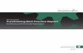 Fundraising Best Practice Report - WealthEngine€¦ · Fundraising Best Practice Report for Advocacy and Community Organizations 3 The State of the Sector With nearly 1 million public