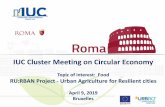 IUC Cluster Meeting on Circular Economy · Replication in Vilnius Antanakis urban gardening site April 2017. Replication in Vilnius Pilot project of Vilnius the pilot area April 2017.