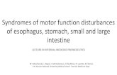 Syndromes of motor function disturbances of esophagus ... · Syndromes of motor function disturbances of esophagus, stomach, small and large intestine LECTURE IN INTERNAL MEDICINE