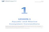 LESSON Aquatic and Marine Ecosystem onnections · 2018-01-26 · LESSON Aquatic and Marine Ecosystem onnections. 4H347. The Institute of Food and Agricultural Sciences (IFAS) is an