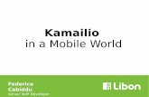 Kamailio · What is Libon? app available on VoIP and VoIP out calls App2app calls and calls to landlines and mobiles in more than 100 destinations. Free app to app calls.