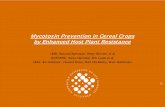 Mycotoxin Prevention in Cereal Crops by Enhanced Host Plant … · 2007-10-16 · 2111 2005 Mycotoxin Prevention in Cereal Crops by Enhanced Host Plant Resistance UMB; Åsmund Bjørnstad,