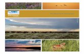 Freese Scale for Grassland Biodiversity · 2016-03-21 · the case for millennia, humans will be part of this eco-system but not in the command-and-control manner that prevails over