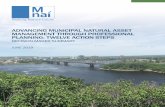 ADVANCING MUNICIPAL NATURAL ASSET MANAGEMENT …mnai.ca/media/2019/07/SP_MNAI_Report4_June2019.pdf · with responsibility for managing municipal assets, and financial and accounting
