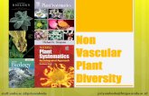 Non Vascular Diversity - Staff Official Site Unilastaff.unila.ac.id/priyambodo/files/2016/11/Non-Vascular... · 2016-11-29 · Mosses (Bryophyta) Moss gametophytes, which range in