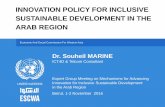 ESCWA Study titled “Innovation Policy for inclusive ... · Ranks in Global Innovation Index, 2016 Country (Global Rank) Institutions Human Capital and Research Infrastruc-ture Market