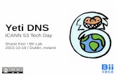 Yeti DNS & IPv6 - ICANN · Yeti DNS: NOT a Alternate Namespace The Yeti DNS project uses the ICANN root zone. The Yeti DNS project is not intended to research the contents of the