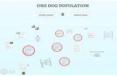 oldrpawe.oie.int · The legislation did not have clear norms of application Impossibility of monitoring the dogs due ... specialized services for the management of stray dogs Reports