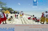 Identifying priorities for adaptation planning and …...Identification of adaptation planning priorities and support to proposal development One-on-one support to LDCs 3-4 training
