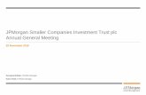 JPMorgan Smaller Companies Investment Trust plc Annual ... · Source: J.P. Morgan Asset Management, FactSet. The Trust is an actively managed portfolio, holdings, sector weights,