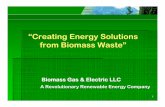 “Creating Energy Solutions from Biomass Waste”Rice hulls & bagasse – an excellent fuel source and beneficial alternative to burning Energy Crops – such as switch grass and
