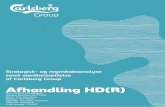 Afhandling HD(R) - Aalborg Universitet · for choosing Carlsberg Group is based on the intensive competition in the brewery industry, while complying significant regulation. The fact,