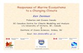 Responses of Marine Ecosystems to a Changing Climatecmore.soest.hawaii.edu/.../documents/DenmanHawaii2.pdf · Kenneth Denman, Yukihiro Nojiri, Hans Pörtner The Key Question: What