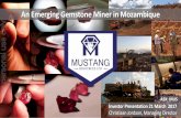 An Emerging Gemstone Miner in Mozambique - ASX2017/03/21  · •US$1.2billion imports of coloured gemstones into US market (4.5% of diamond market) # •Mustang market engagement