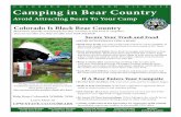 Camping in Bear County · Camping in Bear Country Avoid Attracting Bears To Your Camp Colorado Is Black Bear Country Black bears typically avoid people but they can learn to find