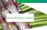 World Biofuels Outlook...World Ethanol and Biofuels •2020 defines maximum consumption of crop-based biofuels under Renewable Energy Directive •Some MS implemented higher blending