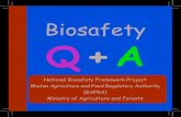 Biosafety Q + A · Genes are made of DNA. One strand of our DNA contains many genes. All of these genes are needed to give instructions for how to make and operate all parts of our